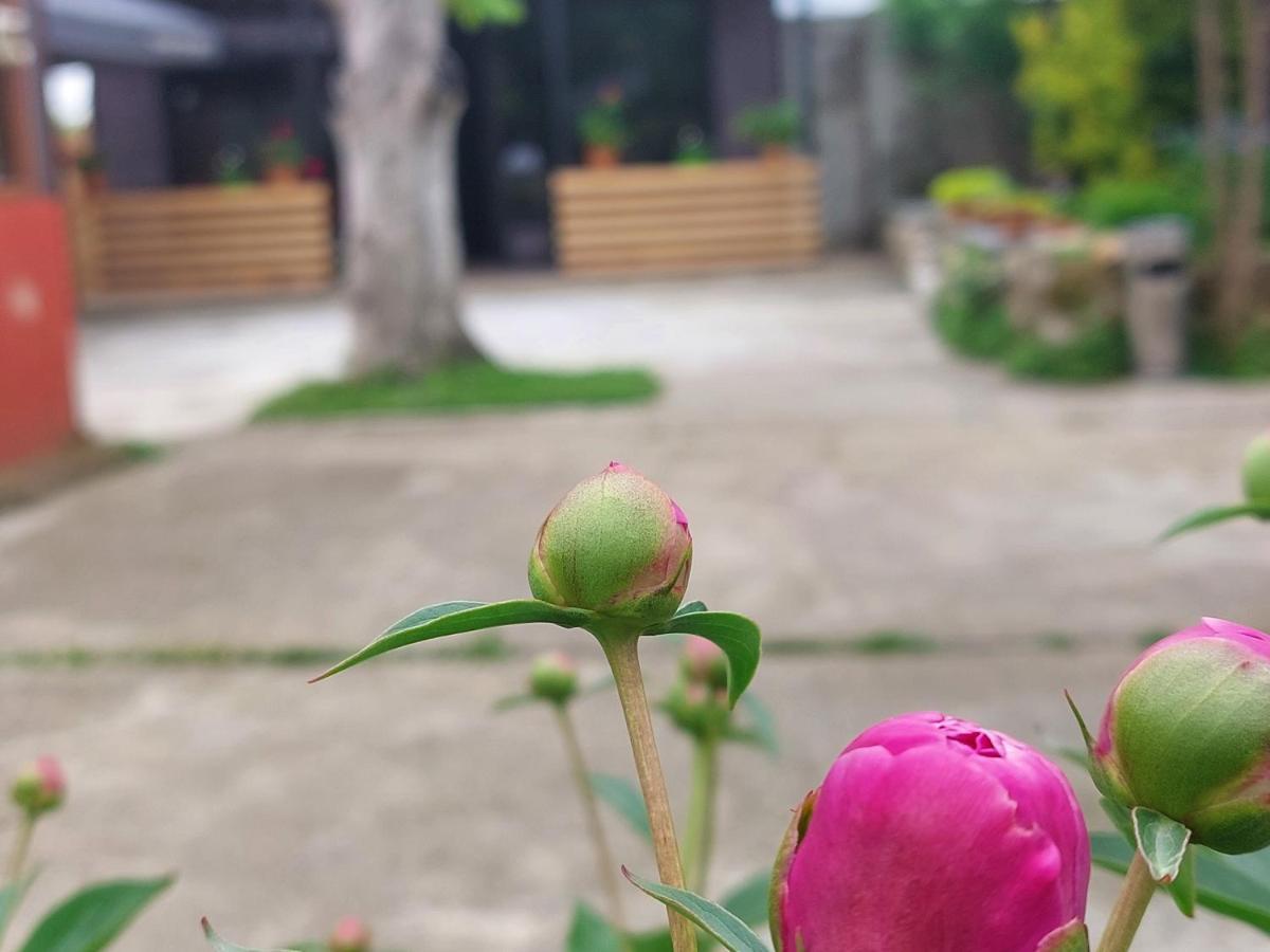 Sweet Village Tskaltubo Dış mekan fotoğraf