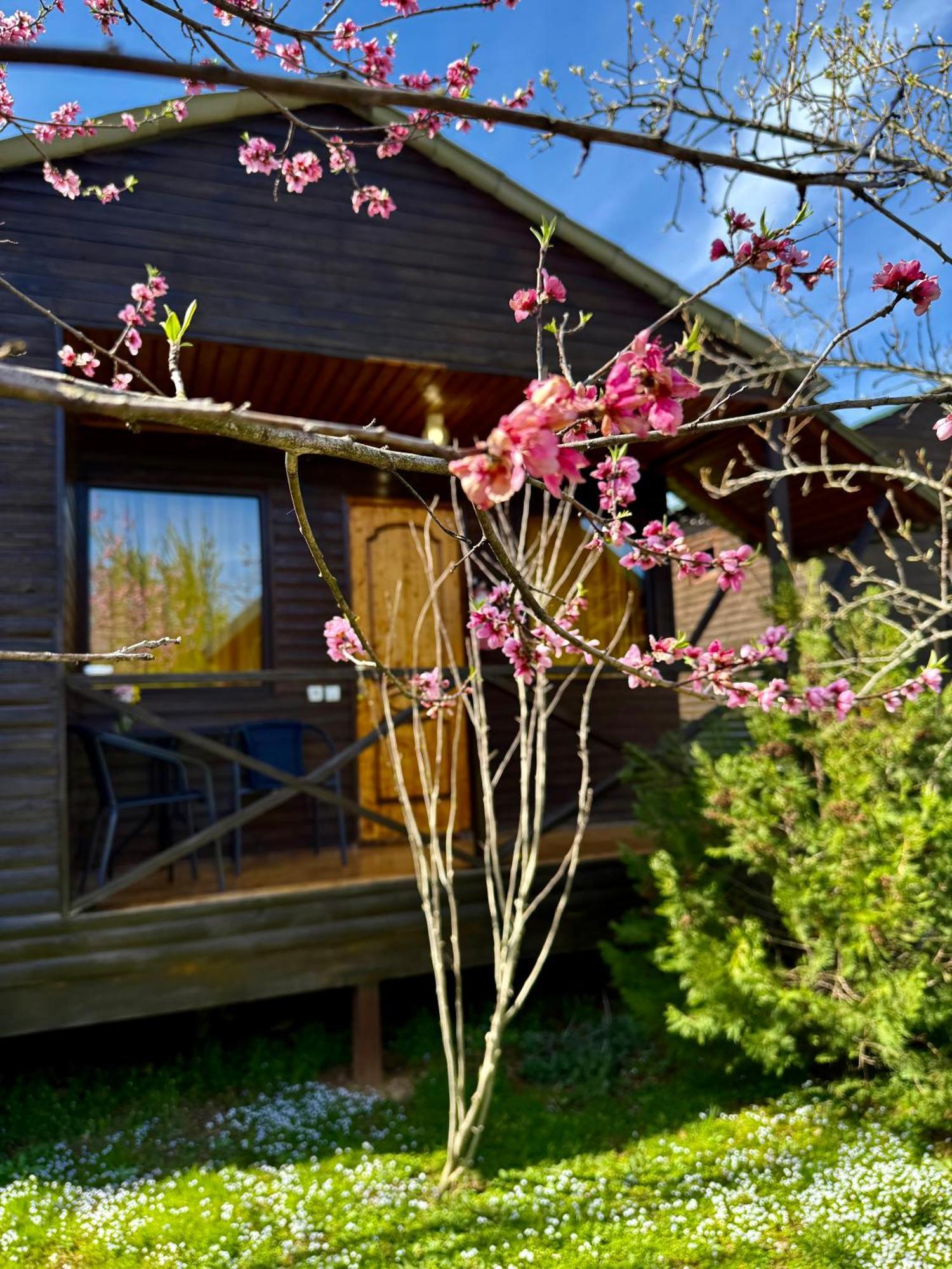 Sweet Village Tskaltubo Dış mekan fotoğraf