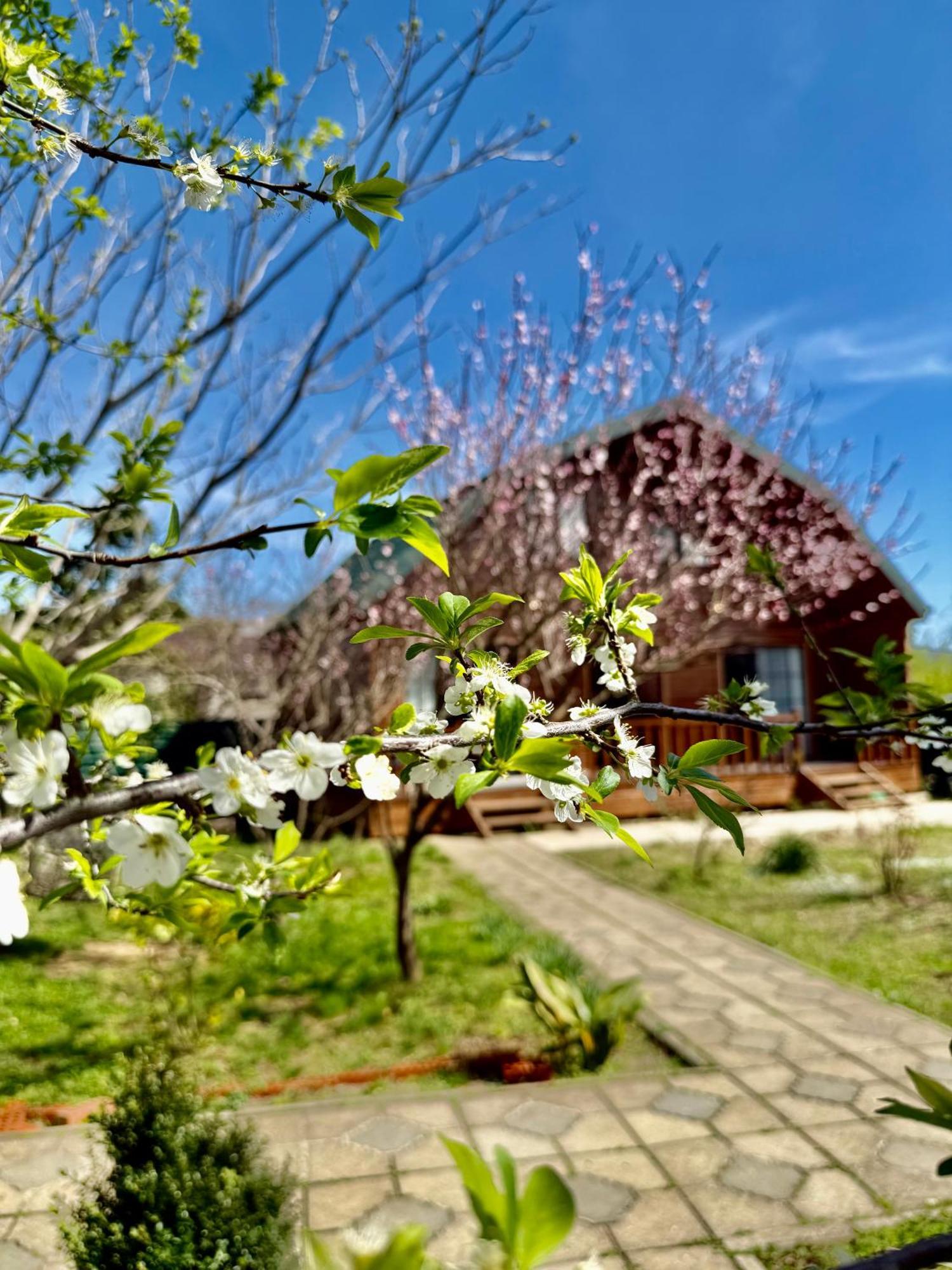 Sweet Village Tskaltubo Dış mekan fotoğraf
